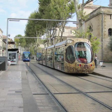 Magnifique 2 Pieces - Plein Centre - Tram 1 Min Apartment Montpellier Ngoại thất bức ảnh